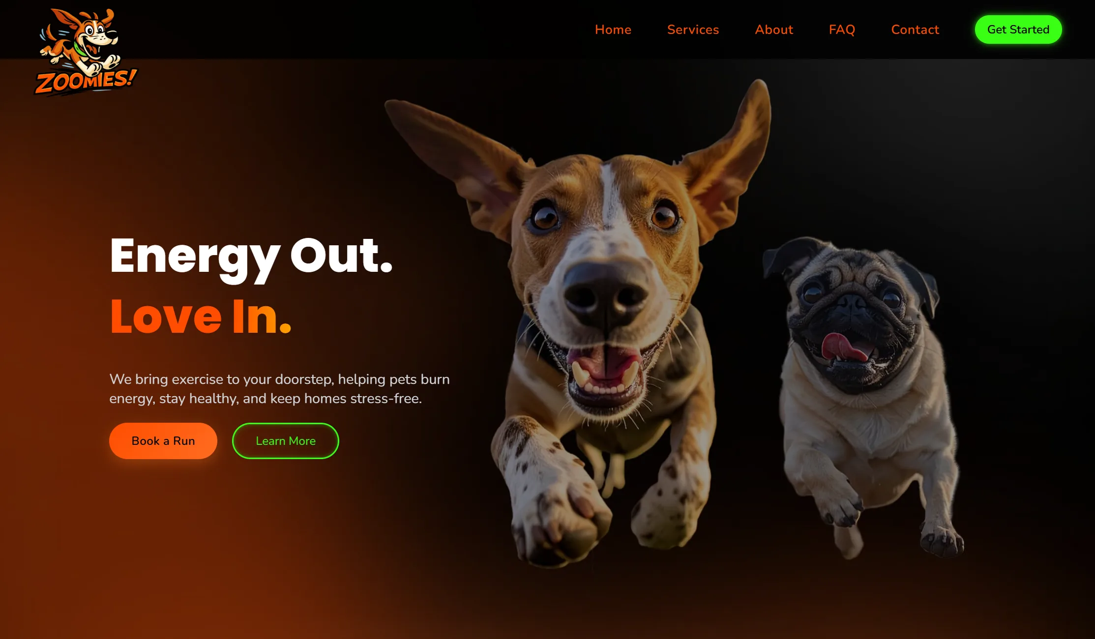Zoomies pet exercise website screenshot